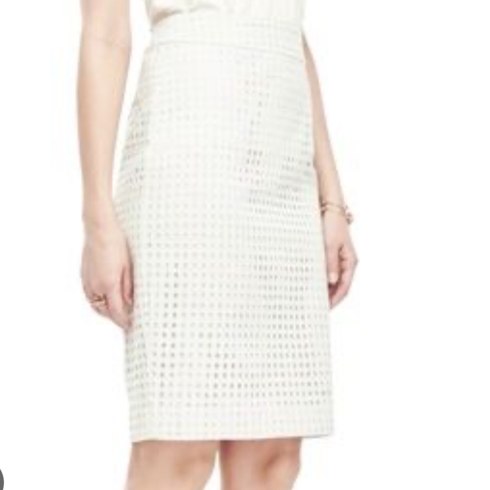 Ann Taylor Pencil Skirt